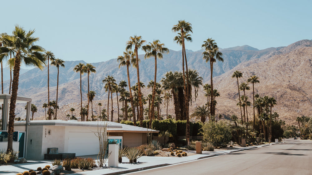 The Top Tennis Clubs in Palm Springs and Greater Coachella Valley (2026)