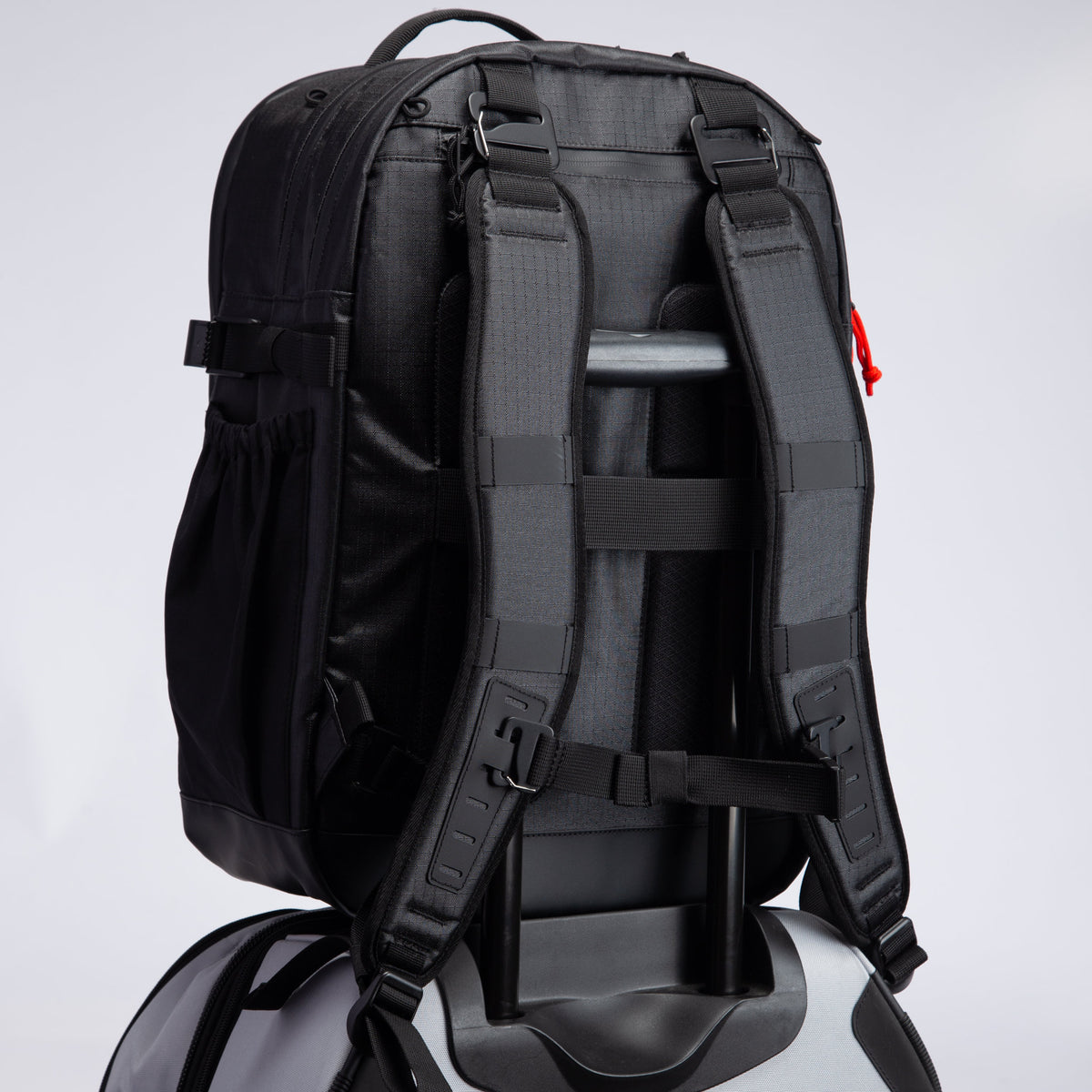 Rear view of the All Court Backpack showing its padded back panel and adjustable shoulder straps